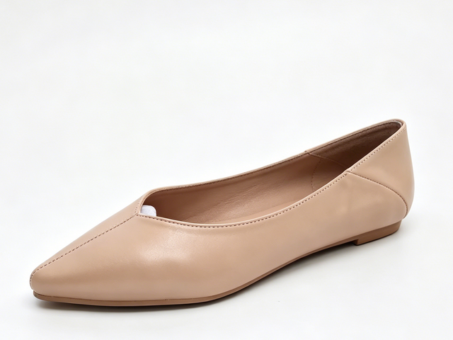 WOMEN'S V-CUT POINTED SLIP ON FLAT
